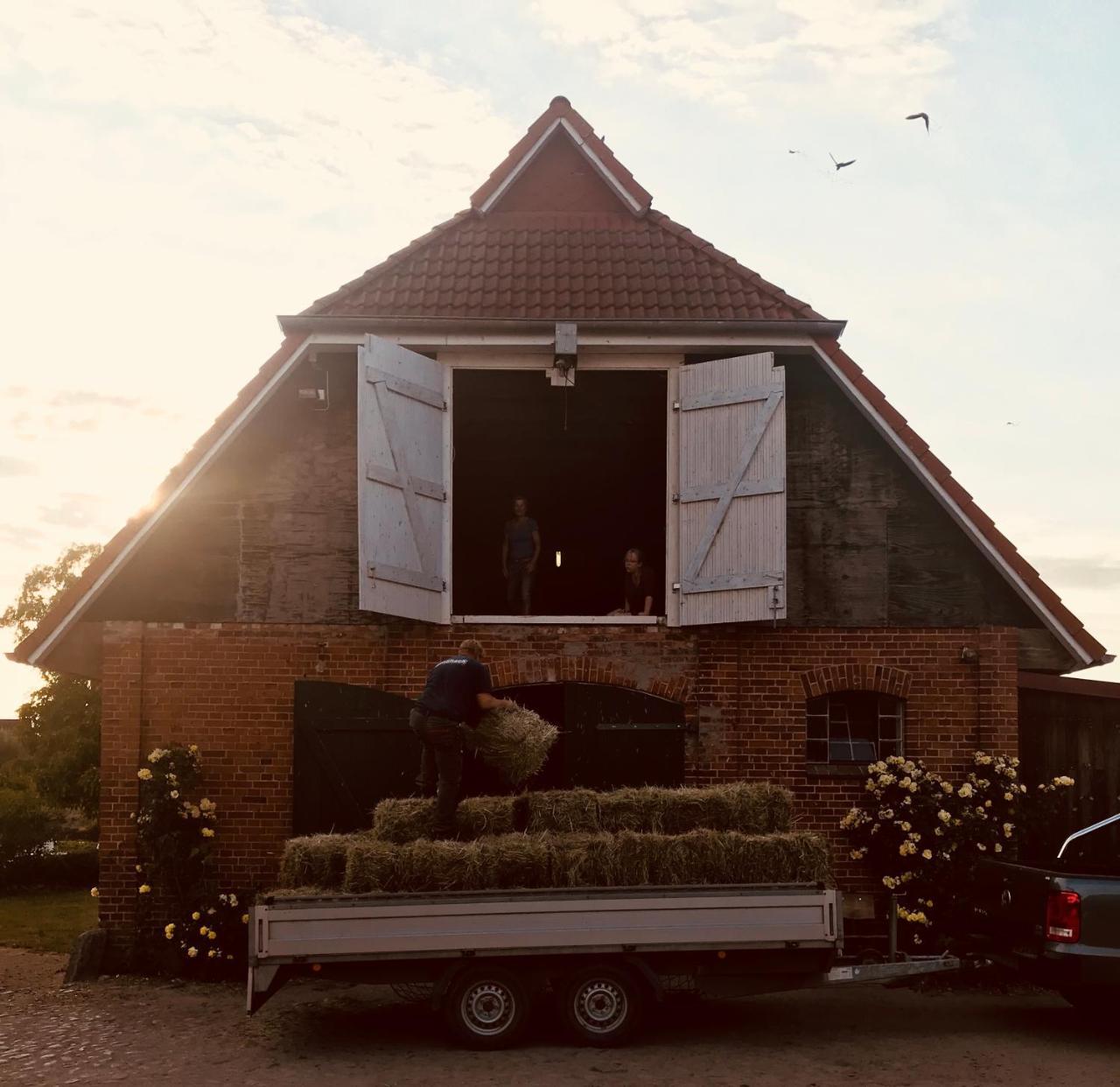 Ferienanlage Gutshaus Gramkow Buitenkant foto